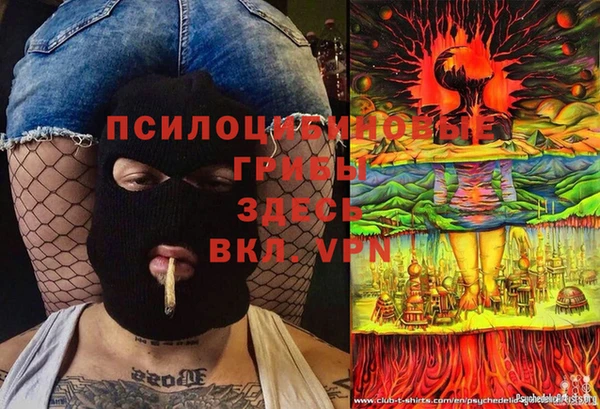 Альфа ПВП Белокуриха