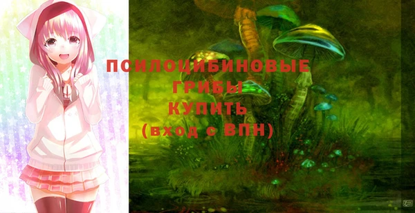 мдпв Беломорск