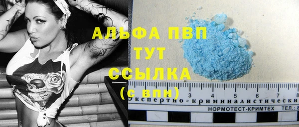 Альфа ПВП Белокуриха