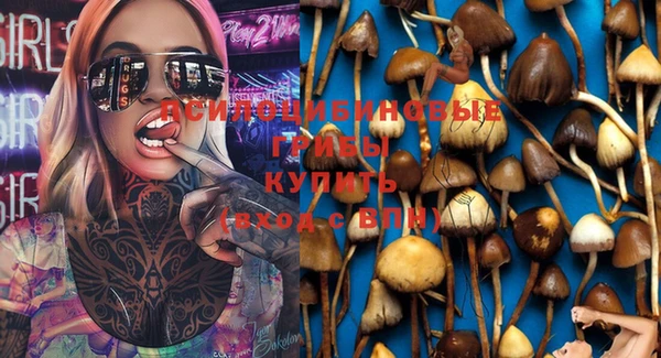 Альфа ПВП Белокуриха
