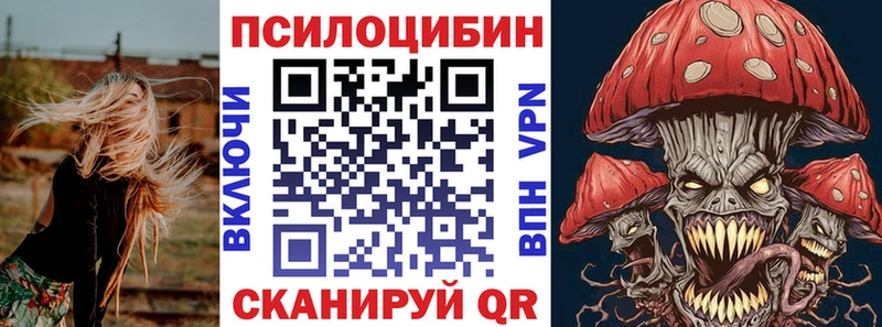 Псилоцибиновые грибы мицелий Белинский
